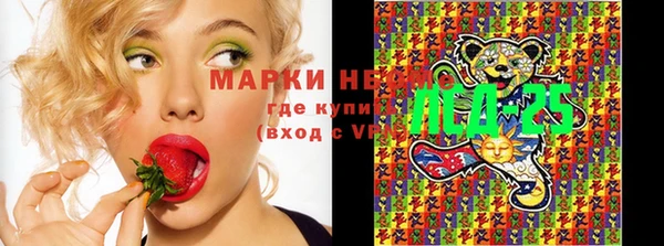 мдпв Армянск