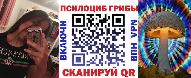 Псилоцибиновые грибы Psilocybe  Шацк 